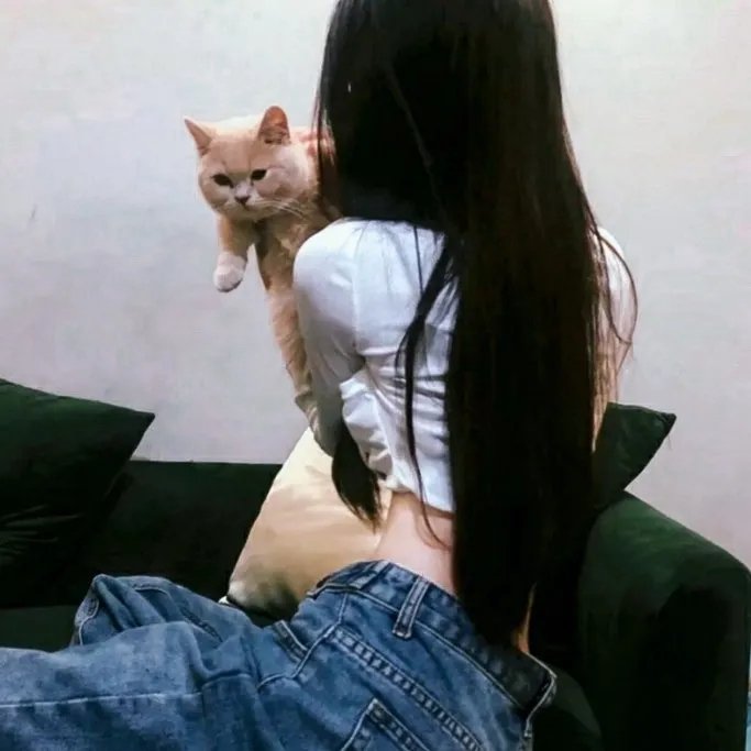 龙月